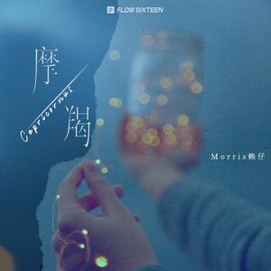 东京热91熟妇中国人人做人人
